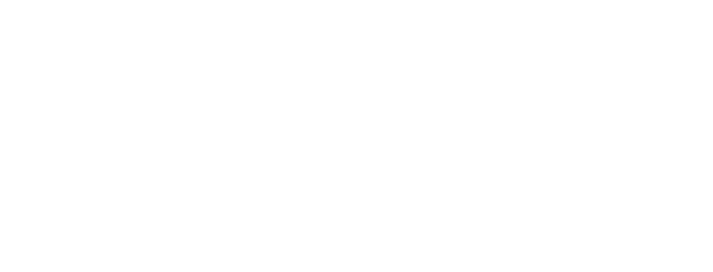 VIDA Global Inc. wordmark